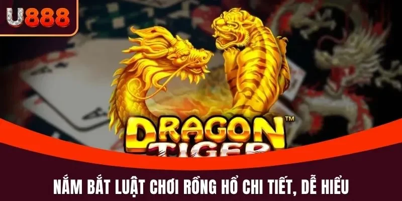 Rồng Hổ U888 - Hướng Dẫn Cách Chơi Chi Tiết Cho Tân Thủ 3 Nắm bắt luật chơi Rồng Hổ chi tiết, dễ hiểu