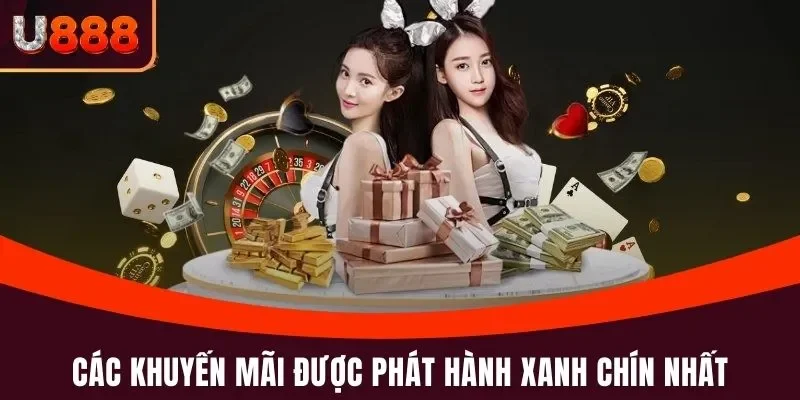 Trang chủ 15 Các khuyến mãi được phát hành xanh chín nhất